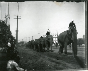 Circus parade up State St. “best and longest of all street parades.” WHC 2007.001.0520