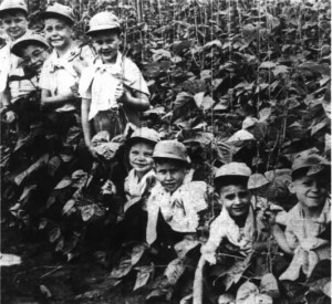 One of these eight youngsters shown inspecting the bean fields at Darley’s plantation near Stayton will be chosen “Jack-of-the-Beanstalk” of the 1949 Santiam Bean Festival. They are, left to right, Kenneth Ware, Jackie Ditter, Denny Frank, Gail Elmer, Thumper Julian, Ray Markham, Leroy Fender and Paul Freres. Photo Credit: Daily Capital Journal July 7, 1949 