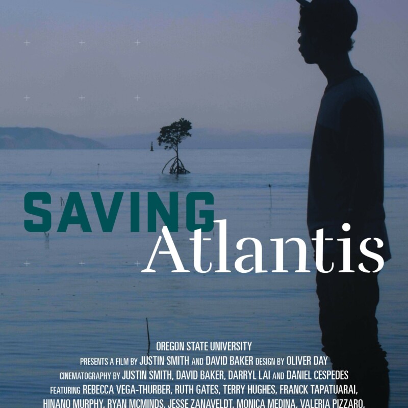Saving Atlantis documentary poster. Silhouette of a person with ocean in the background